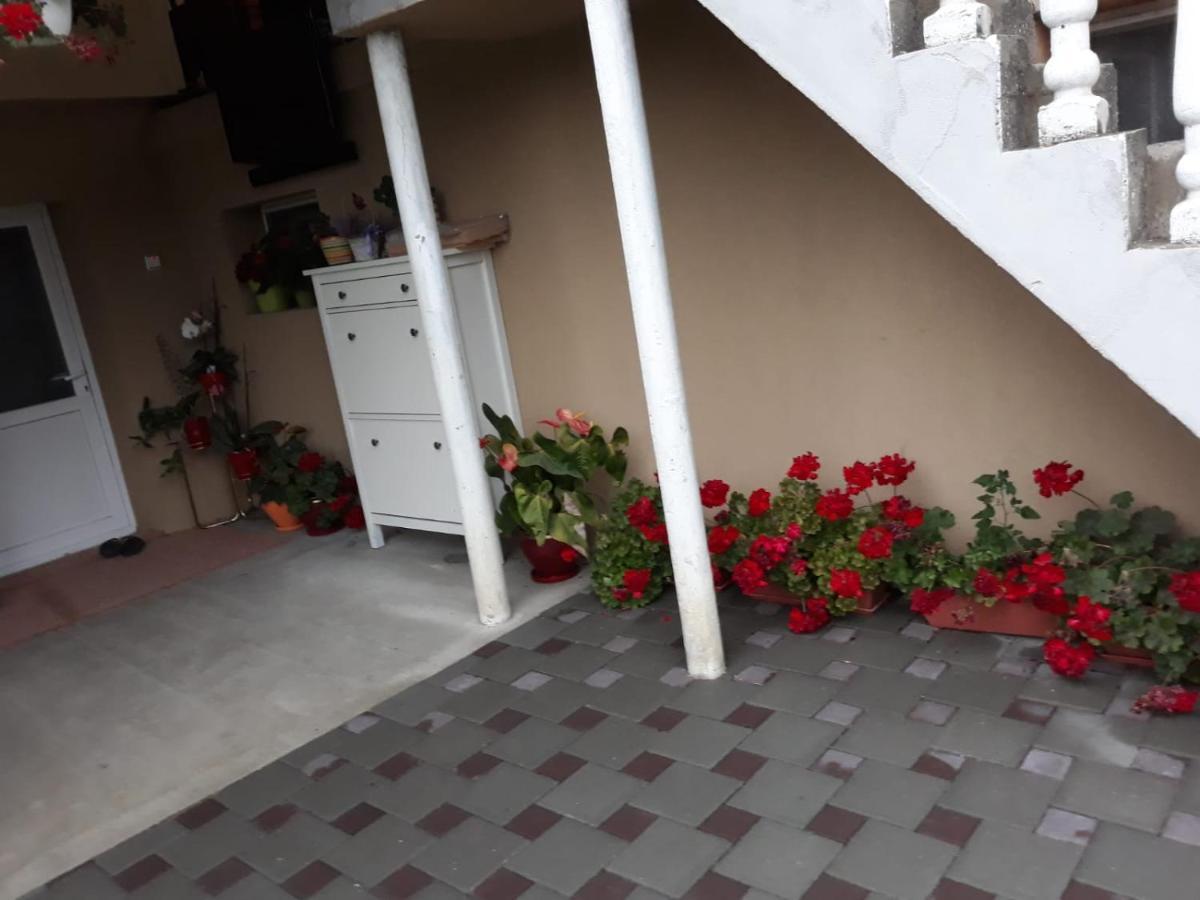 Casa Sannicolau Bed & Breakfast Sînnicolau Mare Екстериор снимка