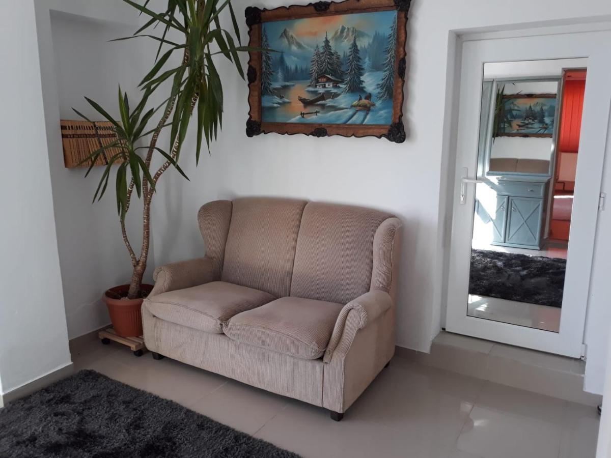 Casa Sannicolau Bed & Breakfast Sînnicolau Mare Екстериор снимка