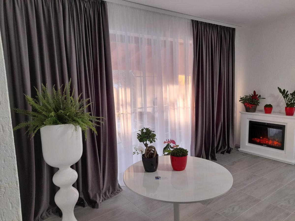Casa Sannicolau Bed & Breakfast Sînnicolau Mare Екстериор снимка